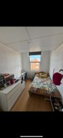 Photo Of Picton Road Flat! in Brownlow